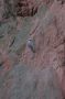 GardenOfTheGods - 31 * Climber on South Gateway rock